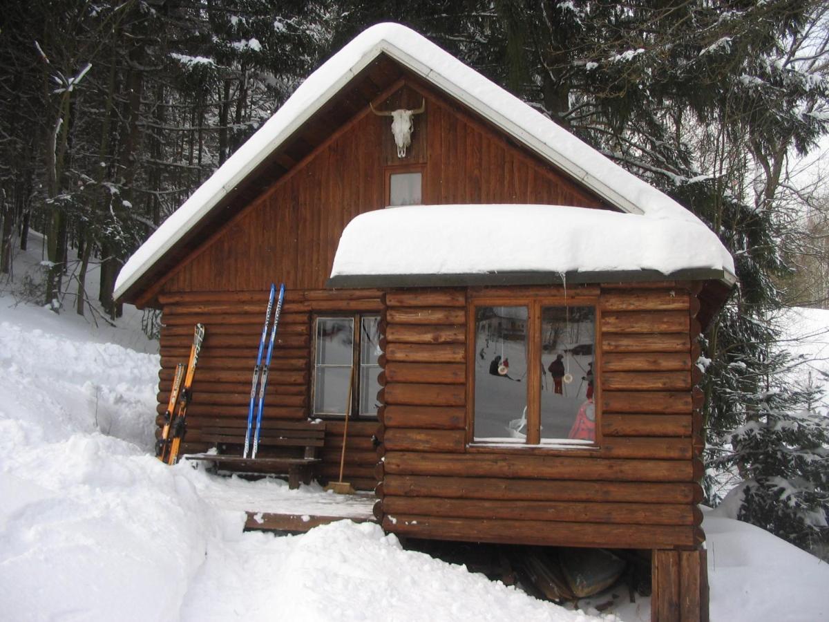 Srub Na Svahu Sjezdovky V Radvanicich Radvanice  Exterior photo